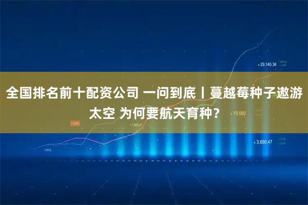 全国排名前十配资公司 一问到底丨蔓越莓种子遨游太空 为何要航天育种？