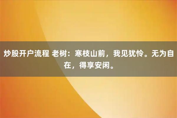 炒股开户流程 老树：寒枝山前，我见犹怜。无为自在，得享安闲。
