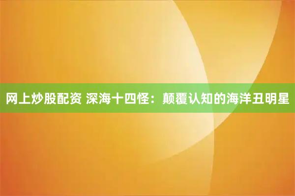 网上炒股配资 深海十四怪：颠覆认知的海洋丑明星